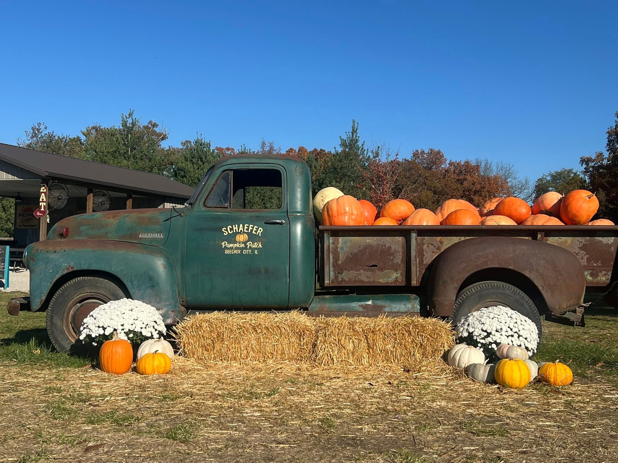 Pumpkins displayed beside the Schaefer Pumpkin Patch truck